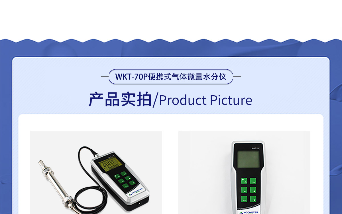 WKT-70P 便携式露点温湿度微量水分测定仪