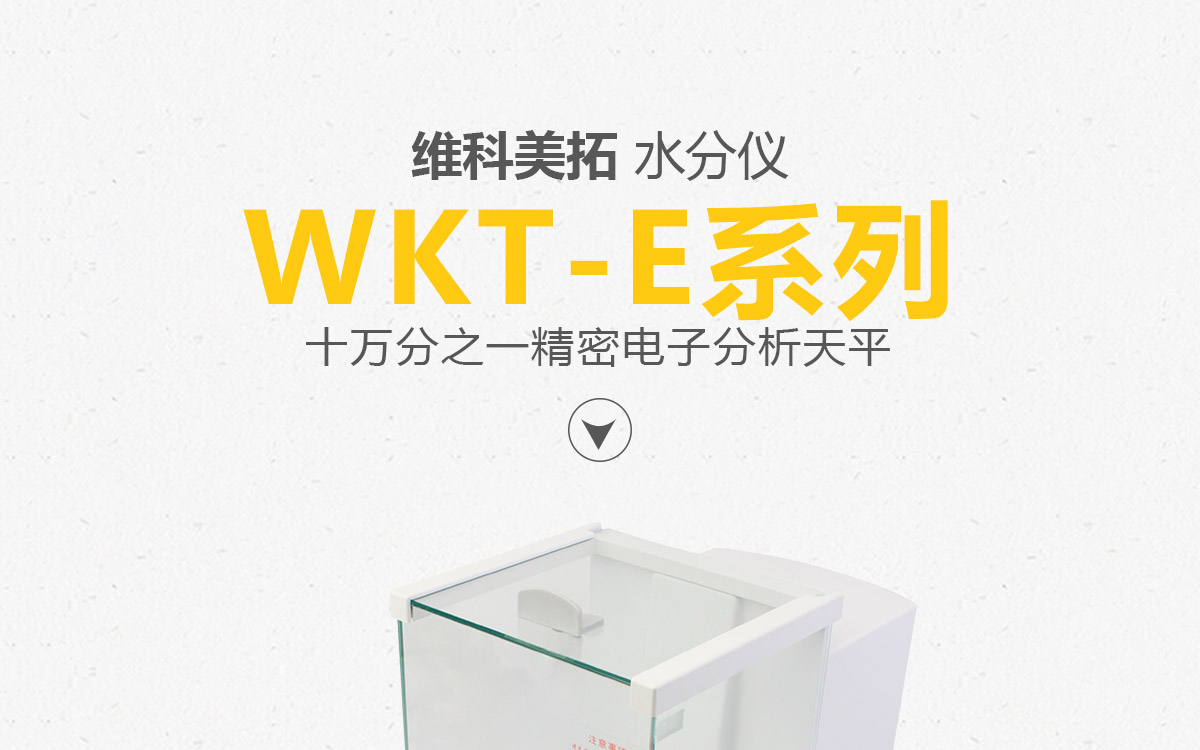 WKT-E系列 精密电子分析天平