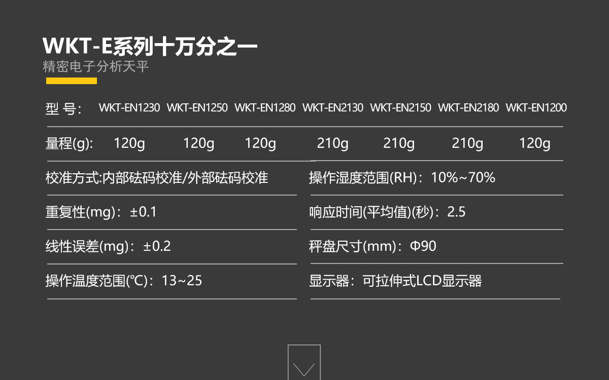 WKT-E系列 精密电子分析天平