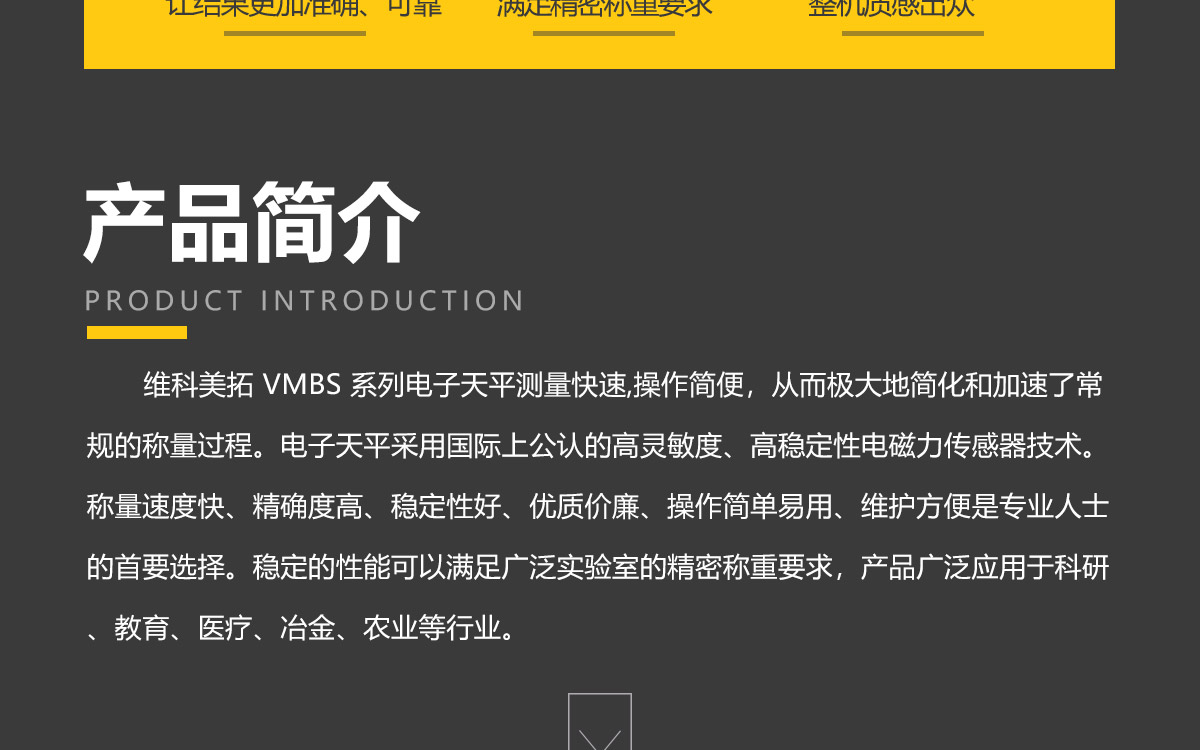 VMBS系列 便携式精密电子天平