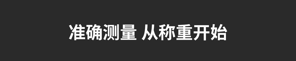 PC系列电子天平（千分之一）